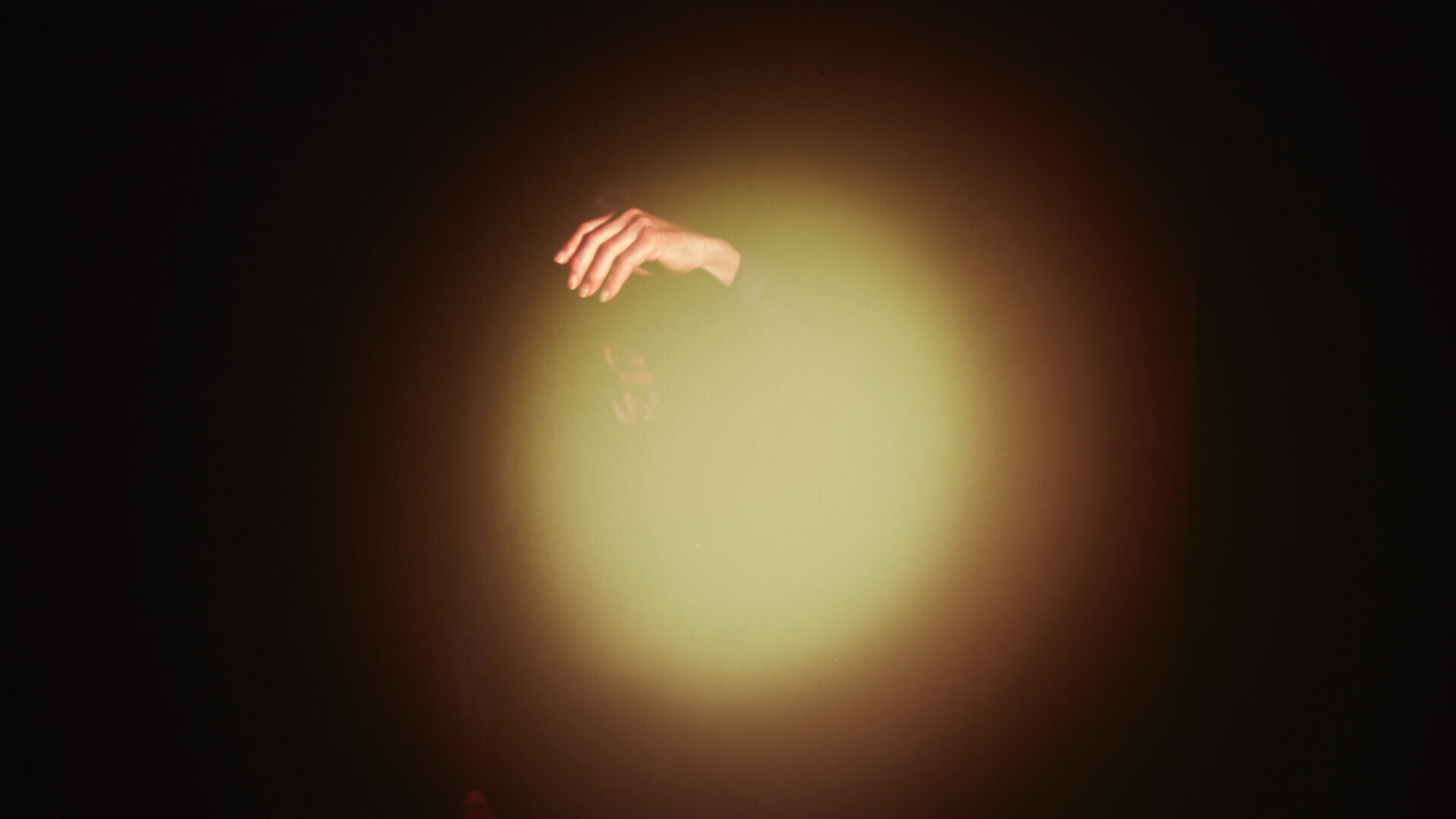 Luminelle