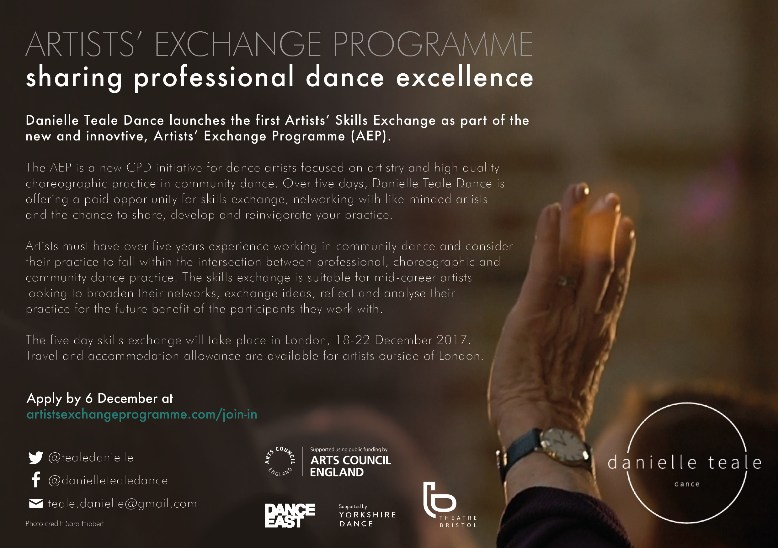 DTD AEP Artist Recruitment 2.jpg